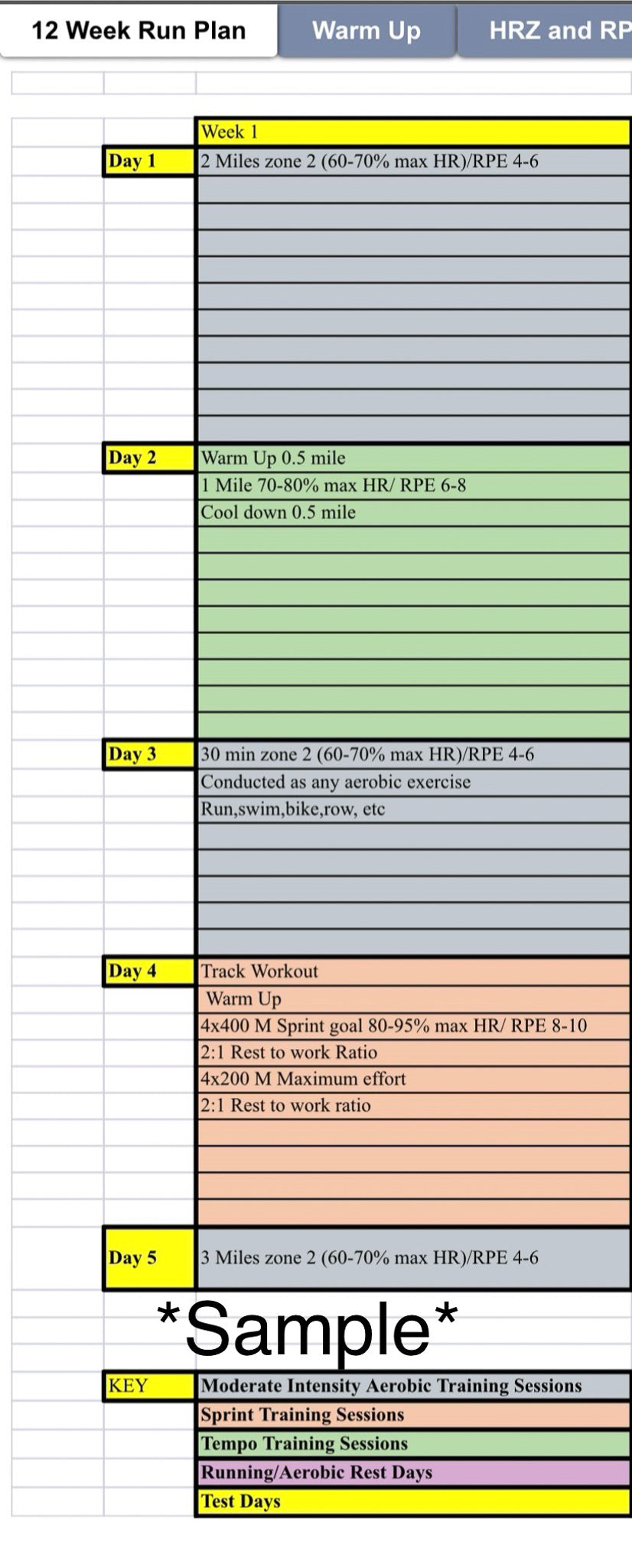 Run Improvement Plan